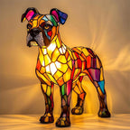 Splendido Boxer